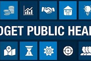 Budget Hearing